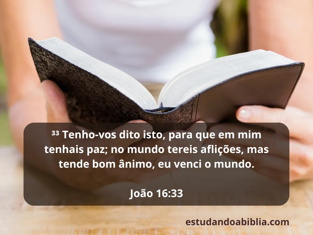 João 16:33