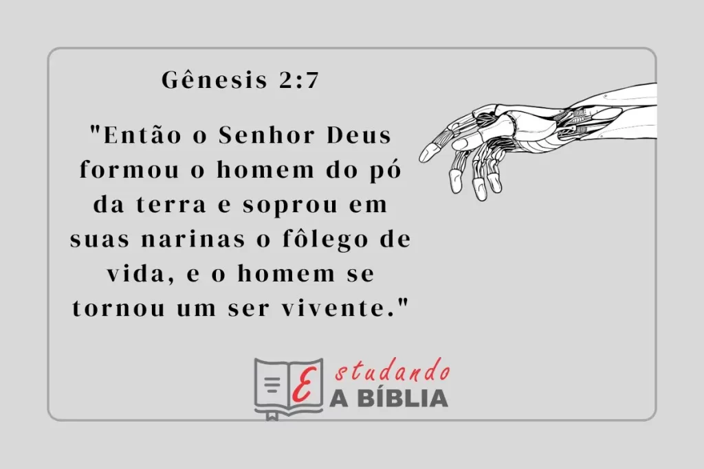 Como surgiu o homem de acordo com a Bíblia?